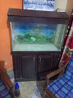 fish aquarium 3 feet for sale