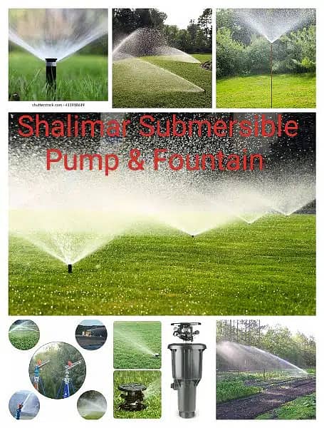 Dancing Fountain, Sprinkler & Drip, Lights, Rain Gun, Submersible pump 2