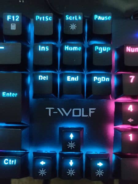 T-Wolf 17 Mechanical Gaming keyboard Blue switches 5