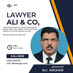 Lawyer 0