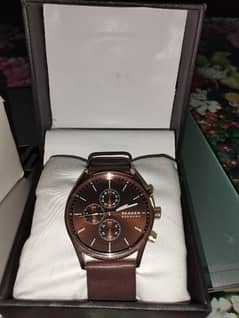 SkaGen American wrist watch Box Pack 0332-0521233 0