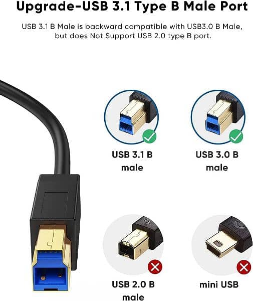 CableCreation USB Type-C to USB 3.1 Gen2 Standard -B Plug Cable 1.2M 2