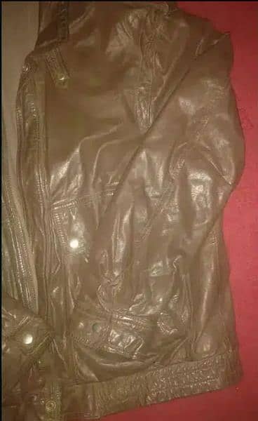Original Leather jacket Brown  for boys Large Size. 03181061160 1