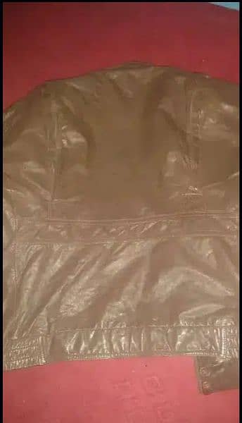 Original Leather jacket Brown  for boys Large Size. 03181061160 8