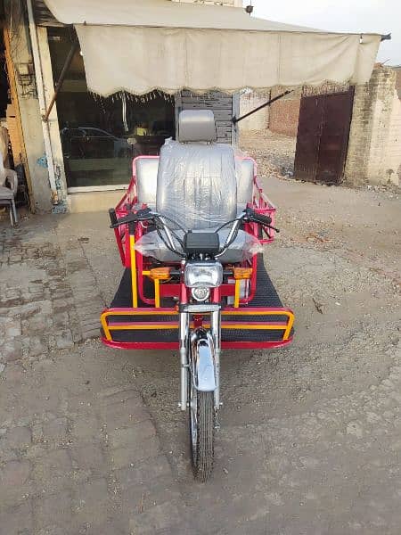 3 wheel bike for disable person 2