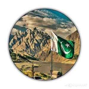 Zeshan Ali