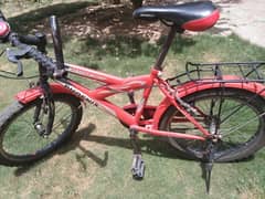 phoniex bicycle for age 7-10