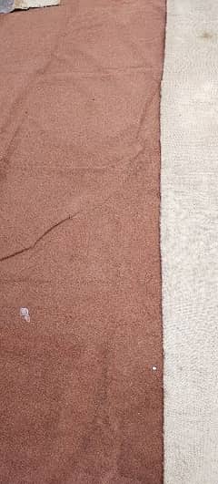 carpet