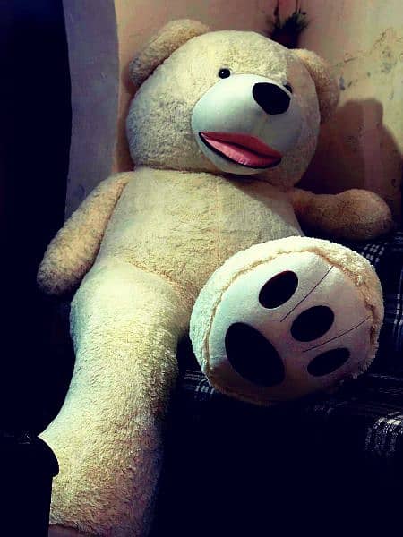 Teddy Bears / Giant size Teddy/ / Feet Teddy/imported fluffy & panda 5