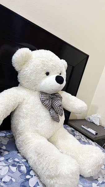 Teddy Bears / Giant size Teddy/ / Feet Teddy/imported fluffy & panda 11