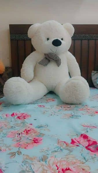 Teddy Bears / Giant size Teddy/ / Feet Teddy/imported fluffy & panda 17