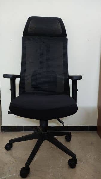 Developer chair with lumber support 0