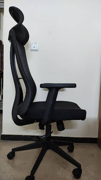 Developer chair with lumber support 1