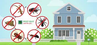 Pest Control ,Fumigation ,Termite , Dengue Control , Deemak Control 3
