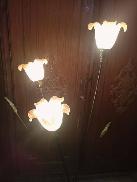 light lamps 0