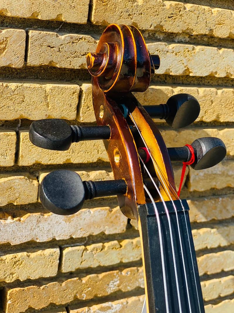 Violin  Solid Wood Violin Beautiful Appearance 4/4 Violin 6