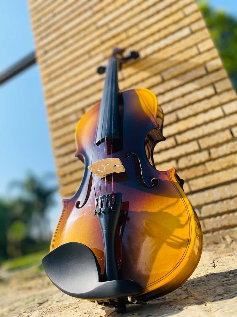 Violin  Solid Wood Violin Beautiful Appearance 4/4 Violin 9