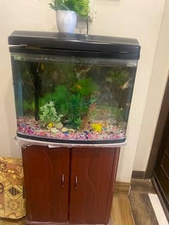 Imoprted Fish Aquarium With imoprted trolley