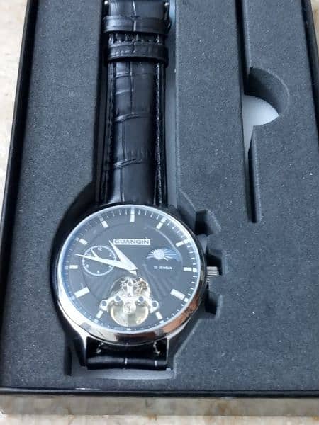 GuanQian Automatic GQ16105 Branded 22Jewels Warch 2