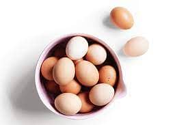 aseel mushka , bengum, australorp, lohman Brown, Fertile egg available 5