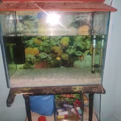 2 pecs  aquariums 1 small and 1 Large ready to start
