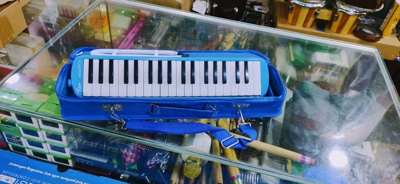 Melodica 37 keys 6