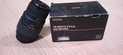 Sigma 70-300 F4-5.6 DG MACRO 0