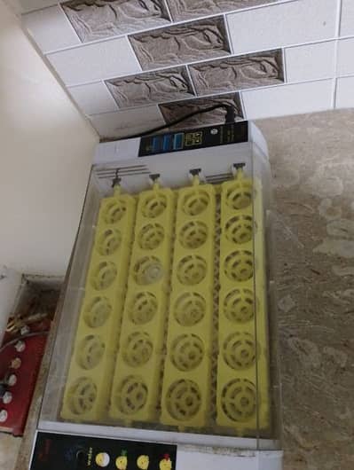 Fully Automatic HD 24 Eggs incubator