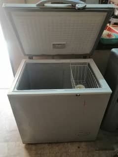 single door deep freezer olx