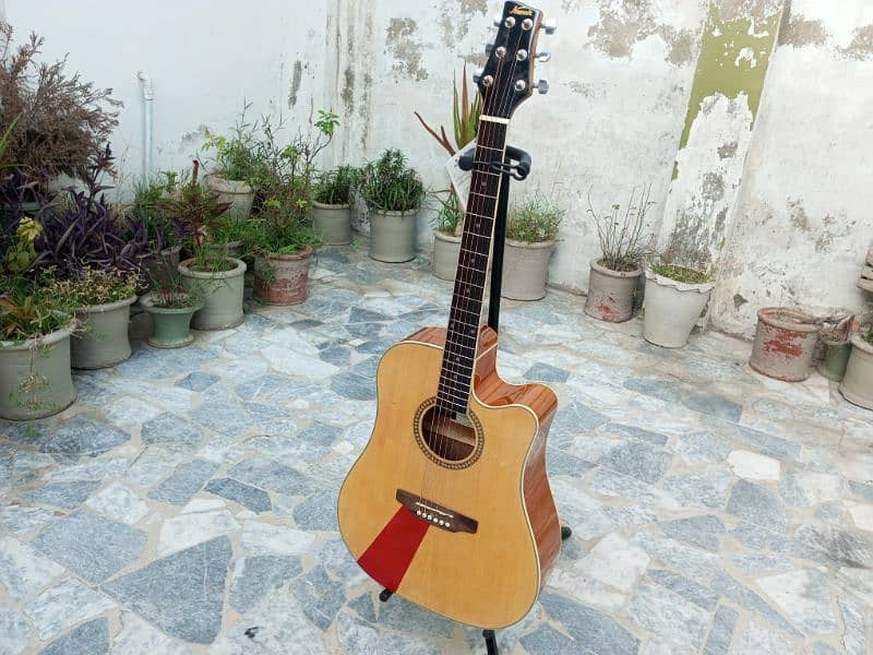 Brand New Semi Acoustic Guitar 6