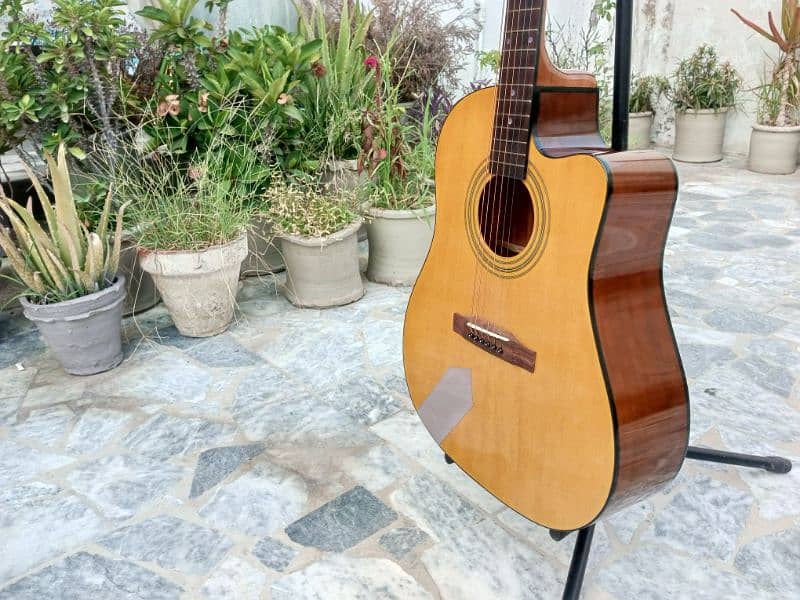 New Acoustic Guitar 7