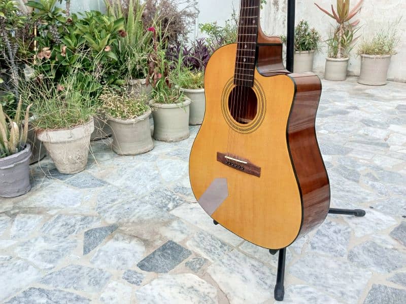 New Acoustic Guitar 10