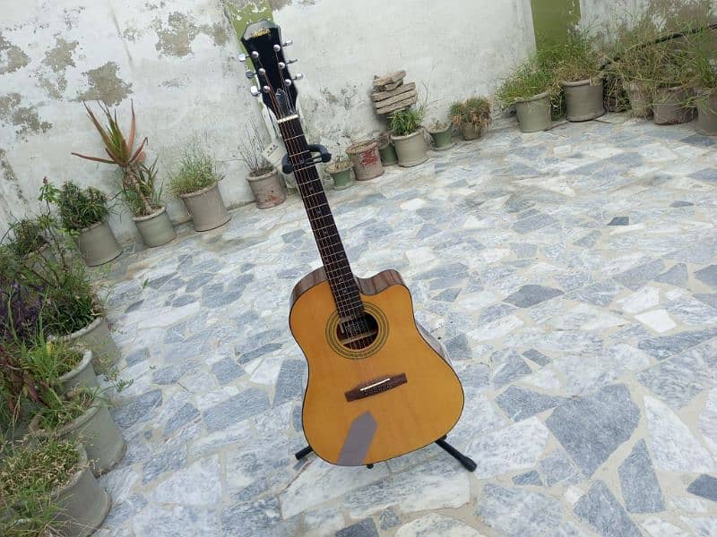 New Acoustic Guitar 17