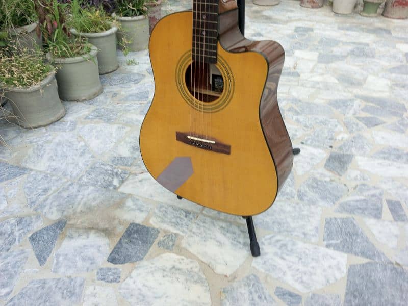 New Acoustic Guitar 18