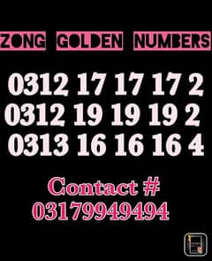 Zong Golden Numbers 0