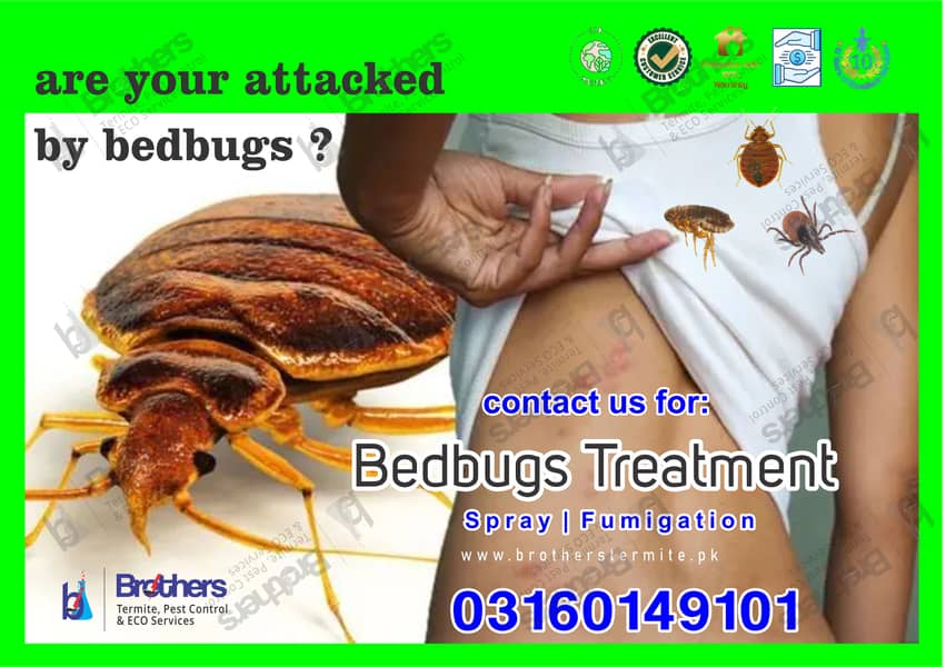 termite control /pest control/Deemak control / Cockroach/bed bug spray 1