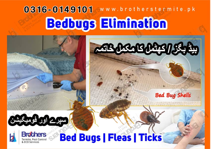 termite control /pest control/Deemak control / Cockroach/bed bug spray 2