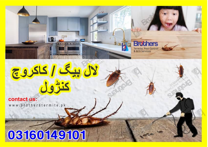 termite control /pest control/Deemak control / Cockroach/bed bug spray 4