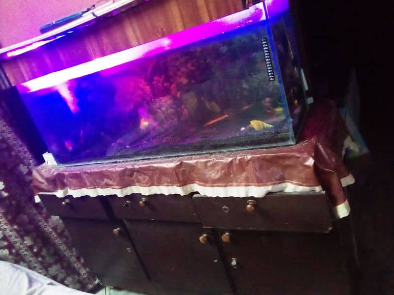 Aquarium fish tank 2