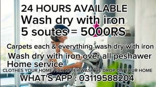 WASH CLOTHES WITH IRON SAFE AND SECURE FREE HOME DELIVERY 03119588204