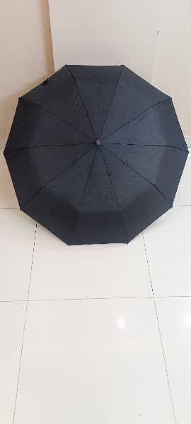 Travel pocket umbrella 1