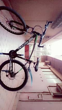 mountain bike of the royal company made in china