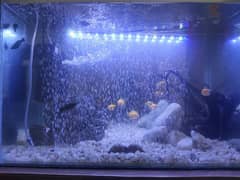 Aquarium