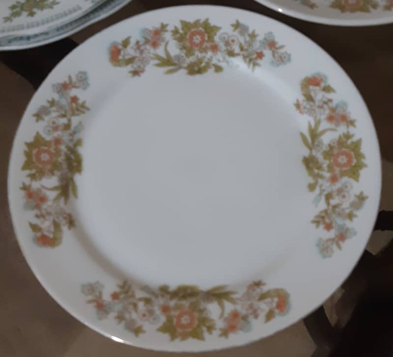 Dinner  plates for sale. 1
