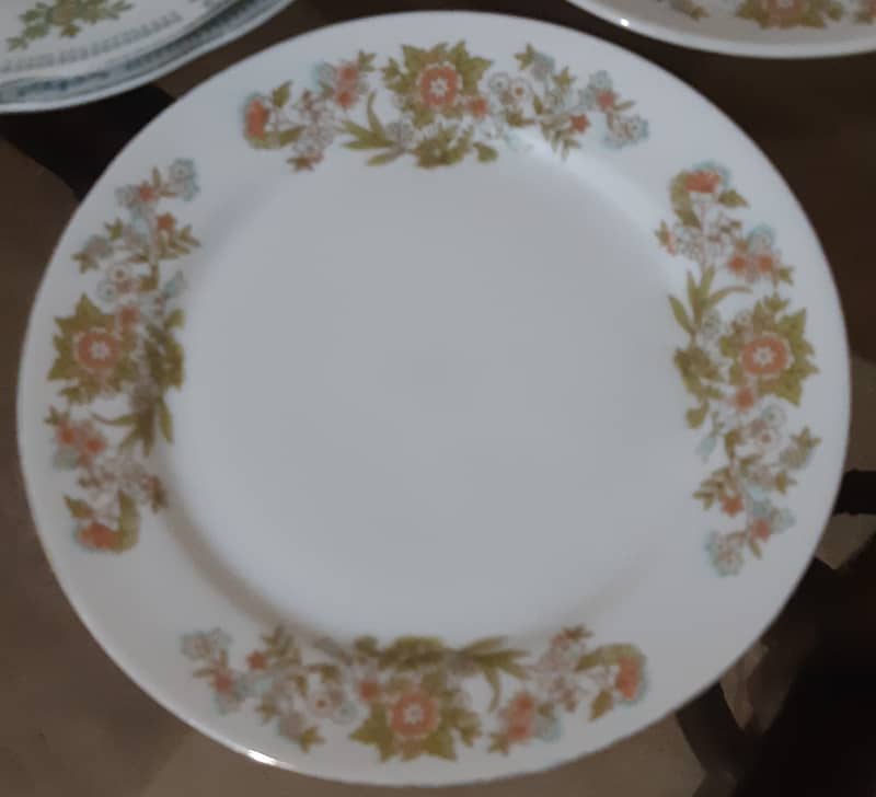 Dinner  plates for sale. 6