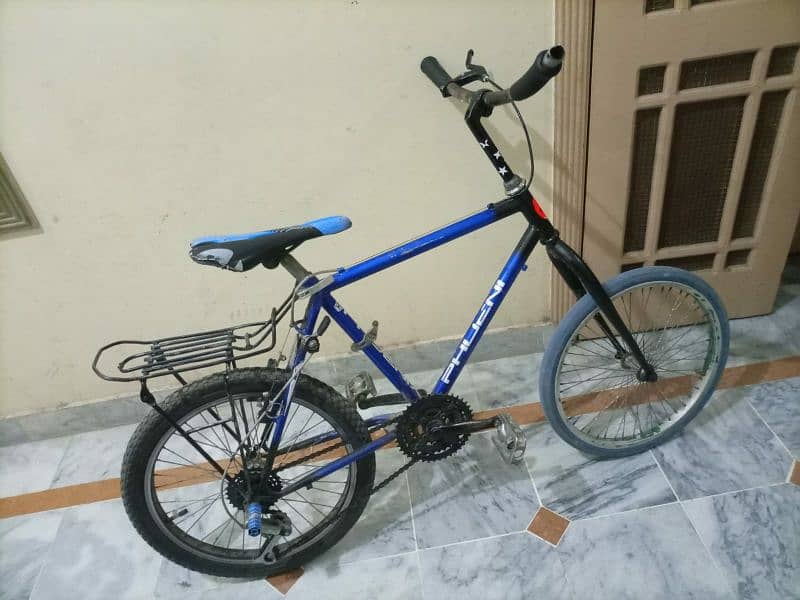 Phoenix bicycle 1