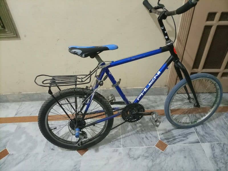 Phoenix bicycle 5