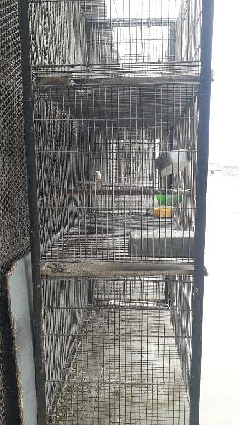 Cages For Sale ( only Serious buyer contact ) 3