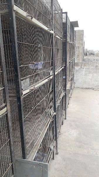 Cages For Sale ( only Serious buyer contact ) 4