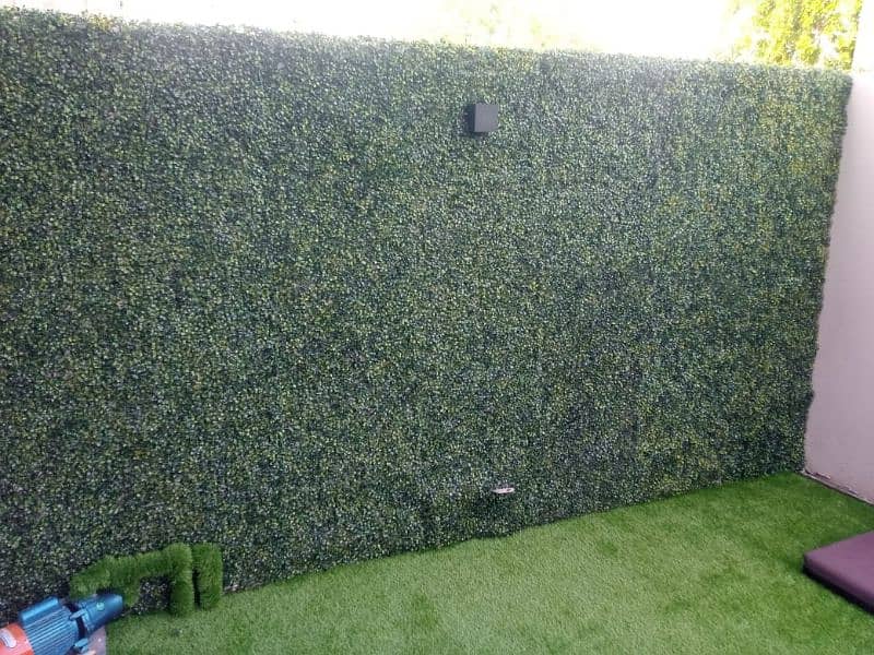 Grass Moss / Grass Boti || 16x24 inches 3